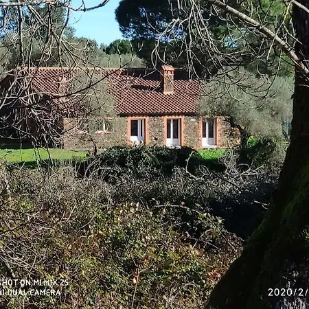 Olivae Villa Aracena Exterior photo