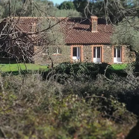 Olivae Villa Aracena Exterior photo