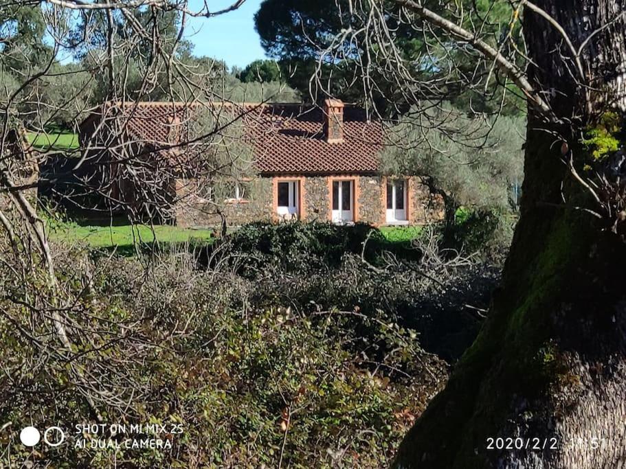 Olivae Chalet