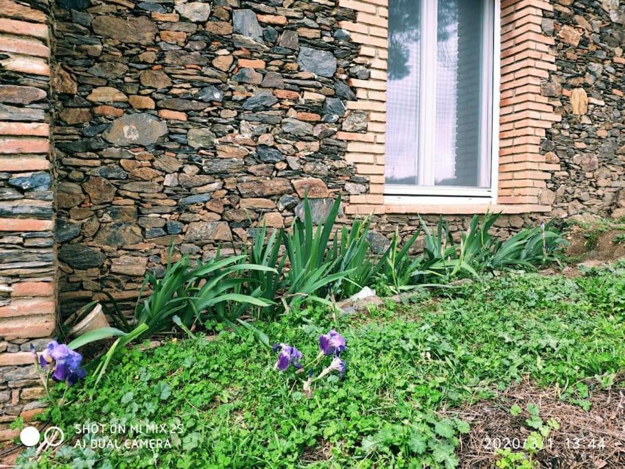 Chalet Olivae
